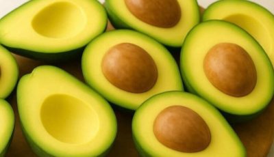 Avocado Seed Benefits: Uses, Properties, and How to Consume It for Better Health