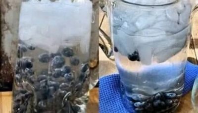 Blueberry Water: A Refreshing Drink That Loves You Back
