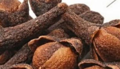 Contraindications of Cloves — Who Should NOT Consume Them and Why
