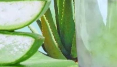 Aloe Vera with Cinnamon: The Home Remedy That Protects Your Health and Vision