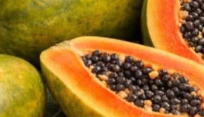 Recipes with Papaya Seeds: Benefits, Uses, and Natural Preparation