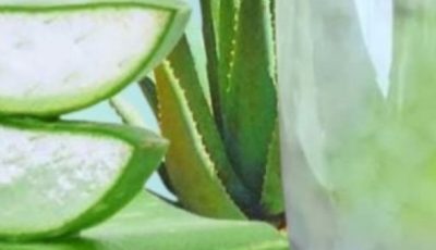 Aloe Vera with Cinnamon: The Home Remedy That Protects Your Health and Vision