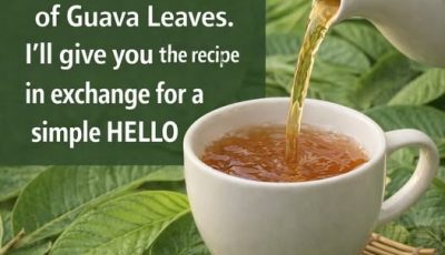 Guava Leaf Tea for Blood Sugar Control