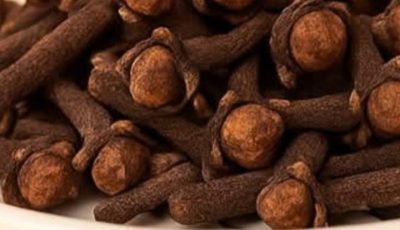 Chewing Cloves Daily: A Tiny Habit with Big Benefits for Your Body