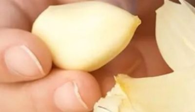 El Garlic: The Natural Antibiotic That Wages War on Infections